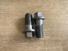 Screw 55003400