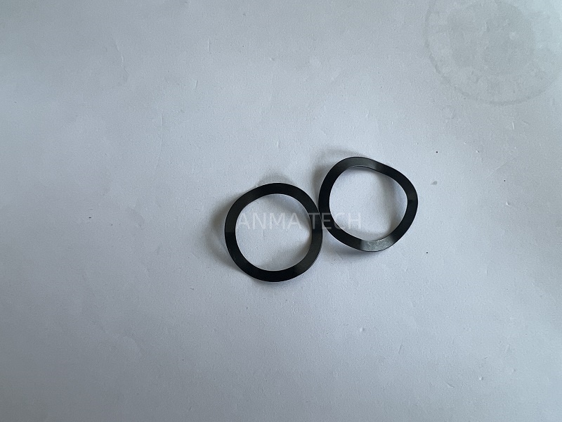 Spring Washer 55035148