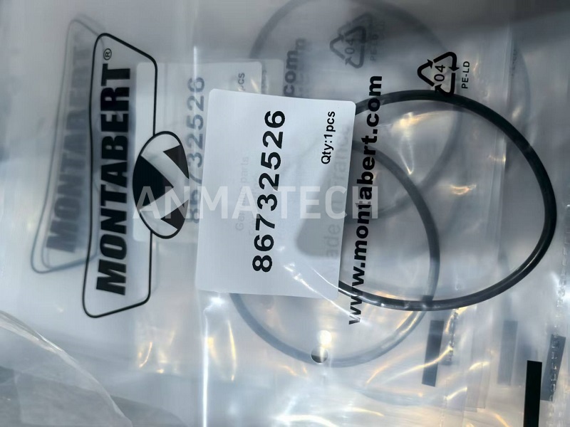 O-ring 86732526/ 86473303/ 86797032/ 86255700