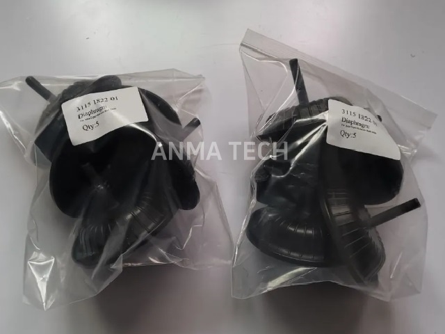 Diaphragm 3115182201