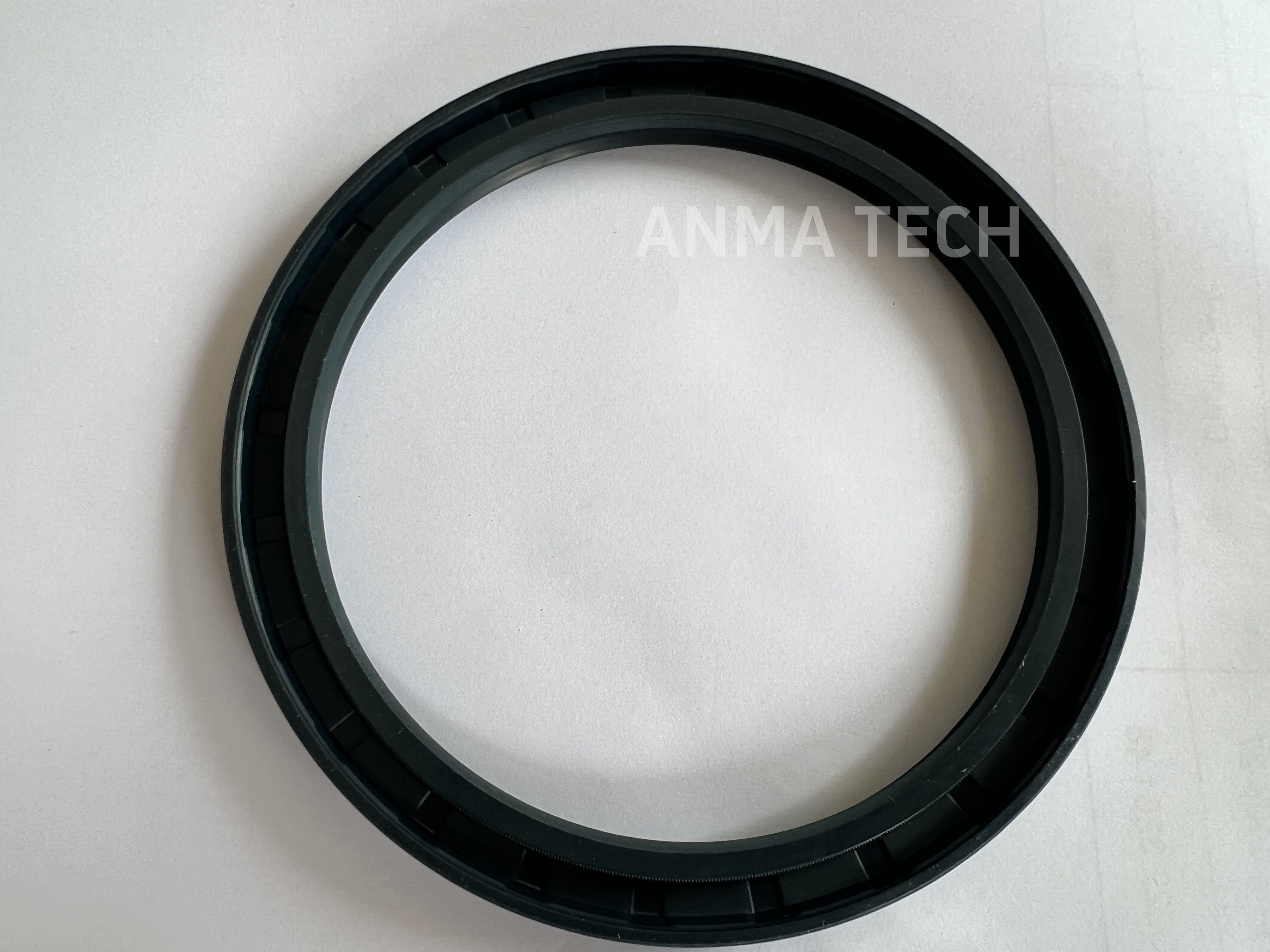 Seal Ring 0666 719001