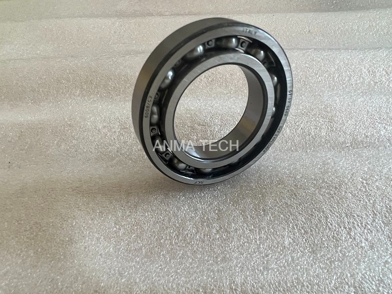 Bearing 121038331 for DANA