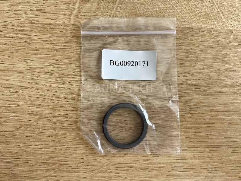 Seal BG00920171