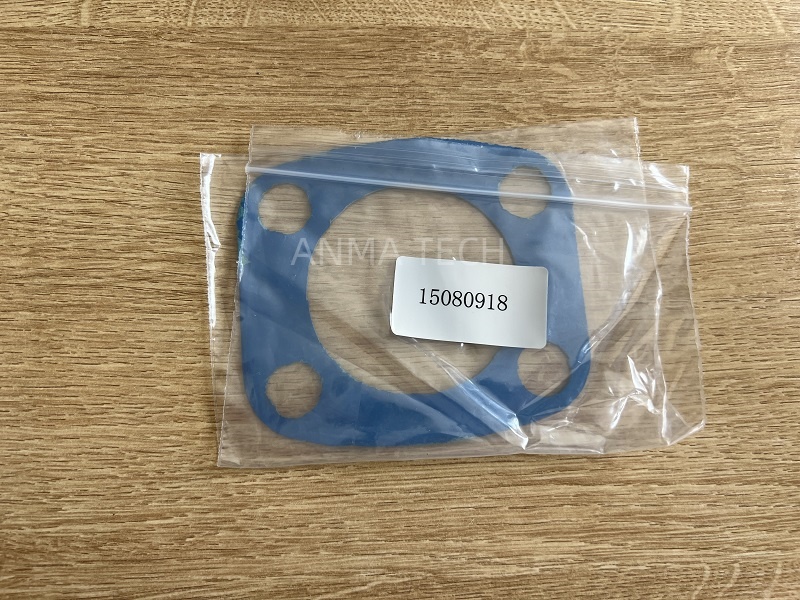 Gasket 15080918