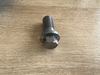 Screw 55003400
