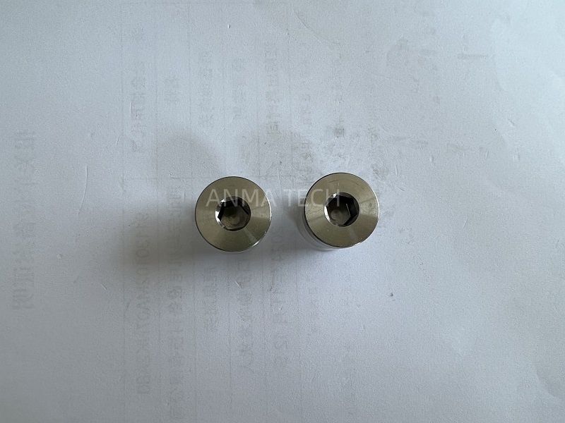 Plug 88113909