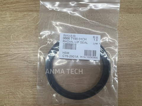 Seal Ring 0666719001