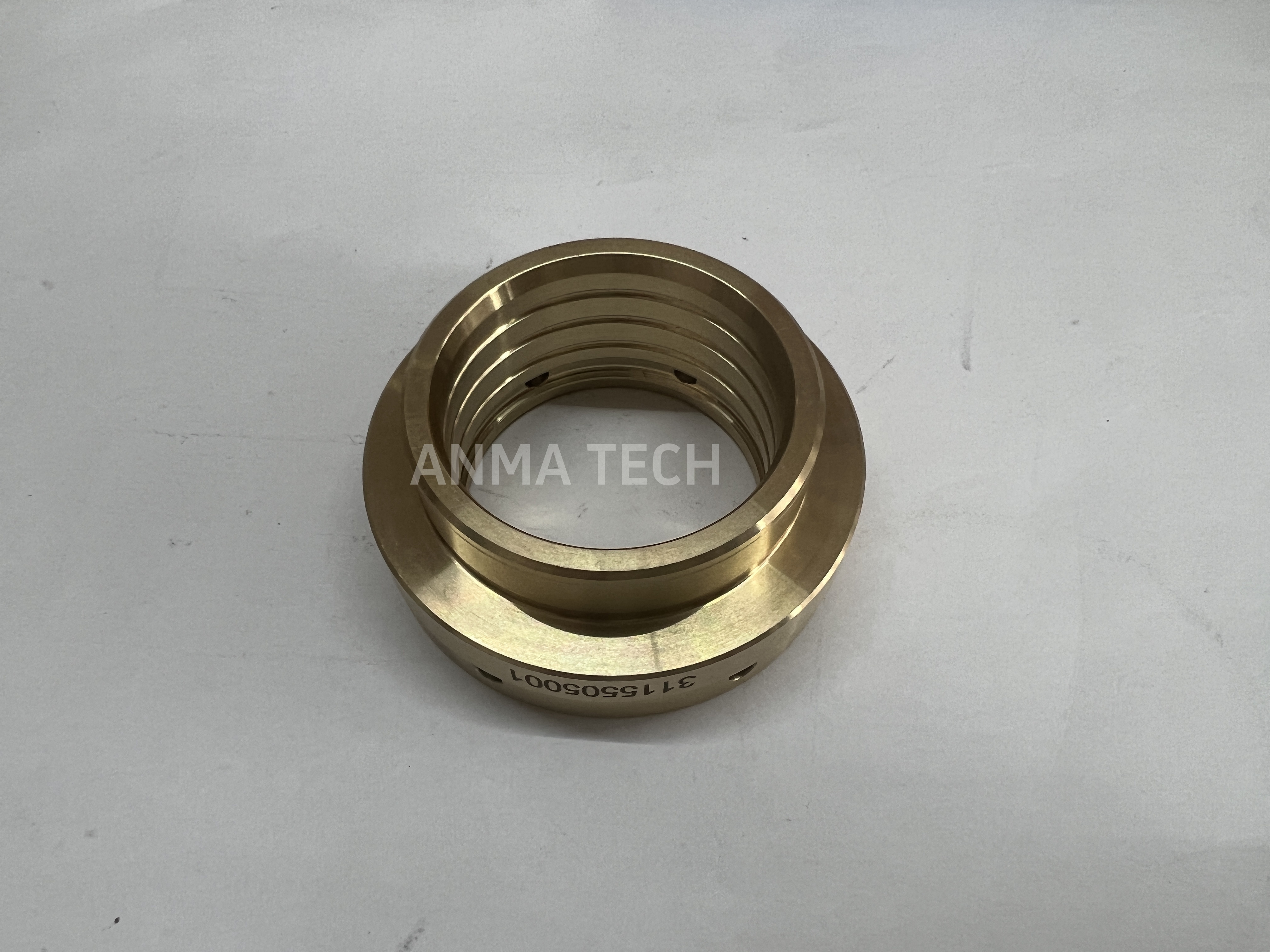 Piston Guide 3115505001