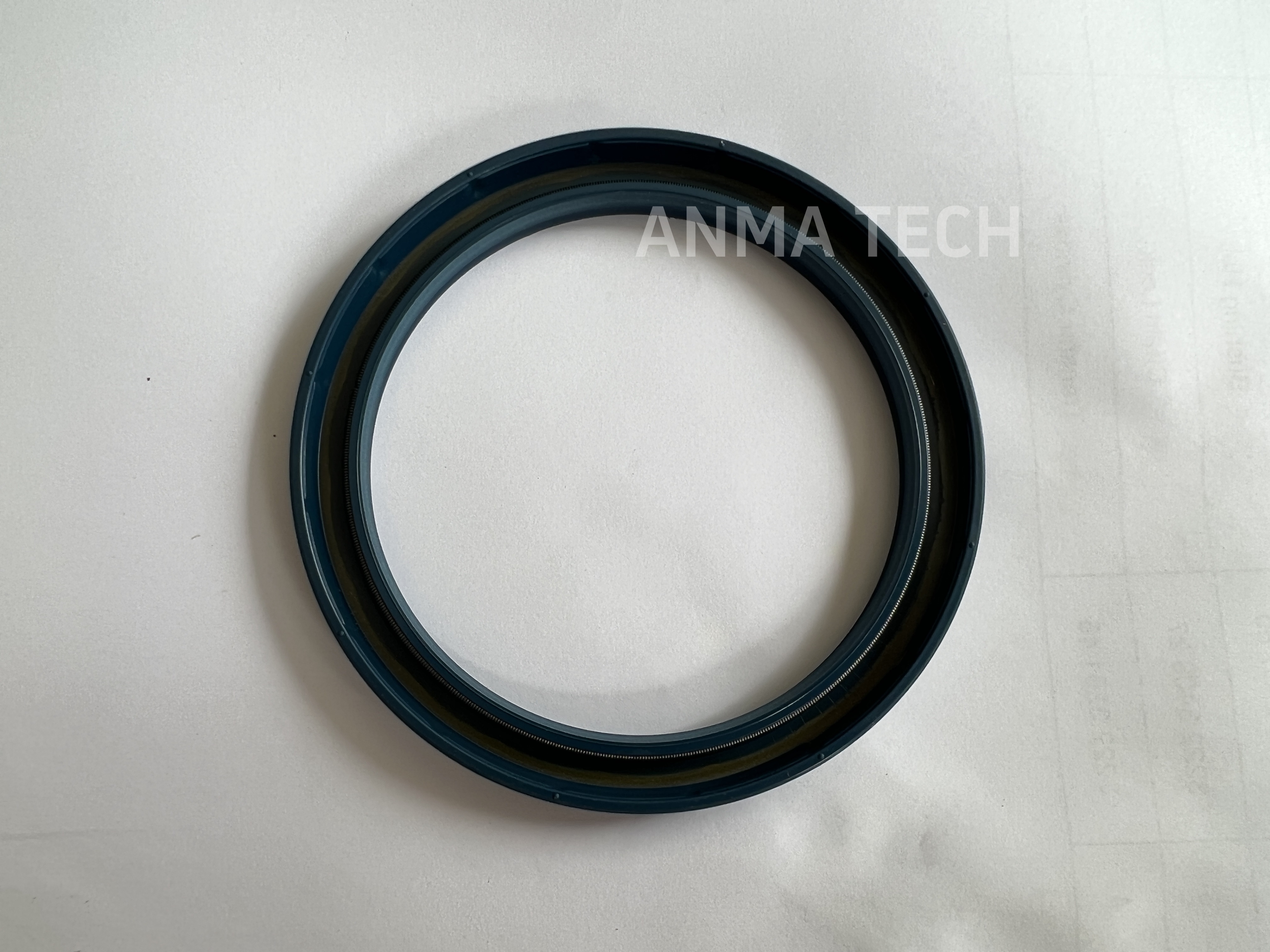 Seal Ring 0666 719001