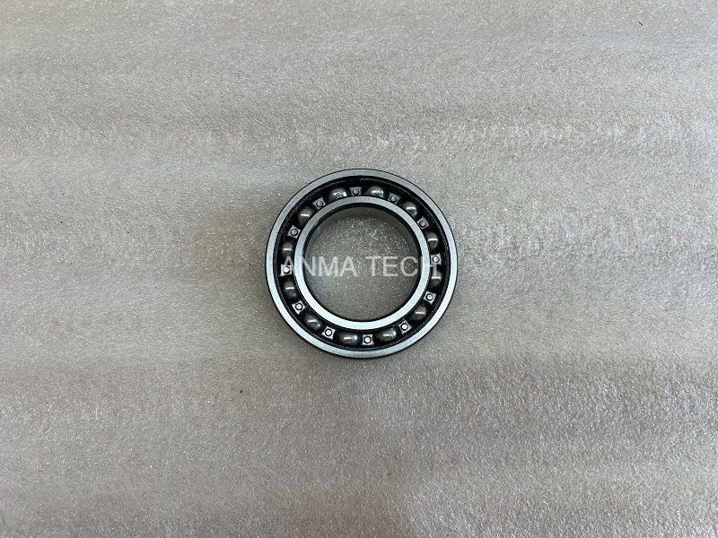 Bearing 121038307 for DANA