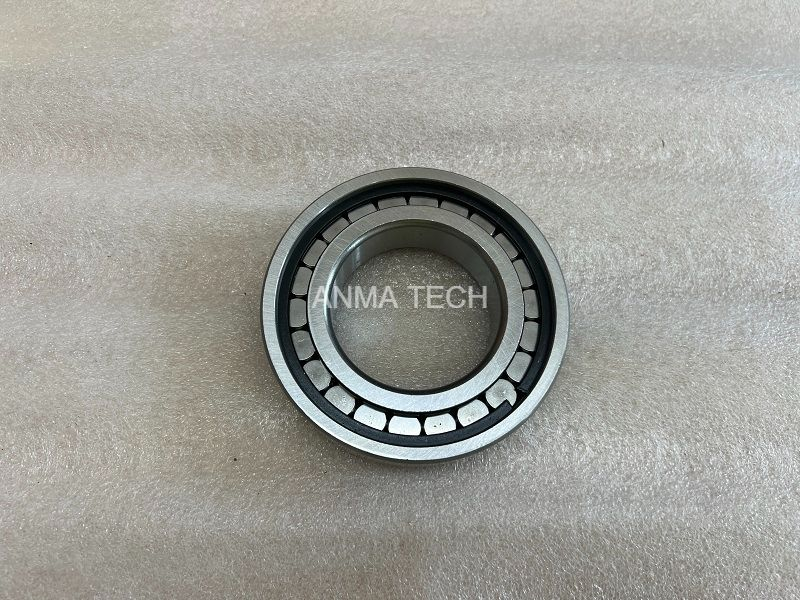 Bearing 1326030251 for DANA