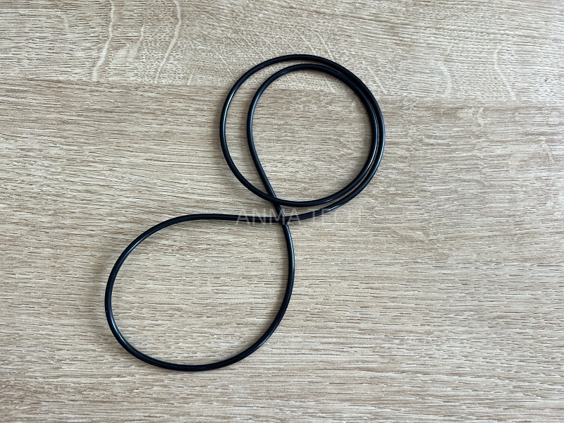 O-ring 55015217