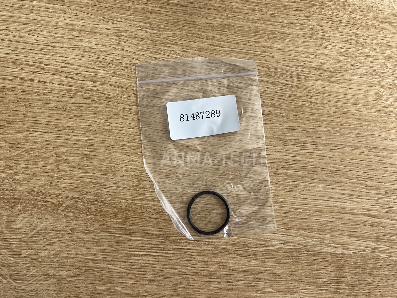 O-ring 81487289