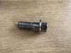 Screw 55003400