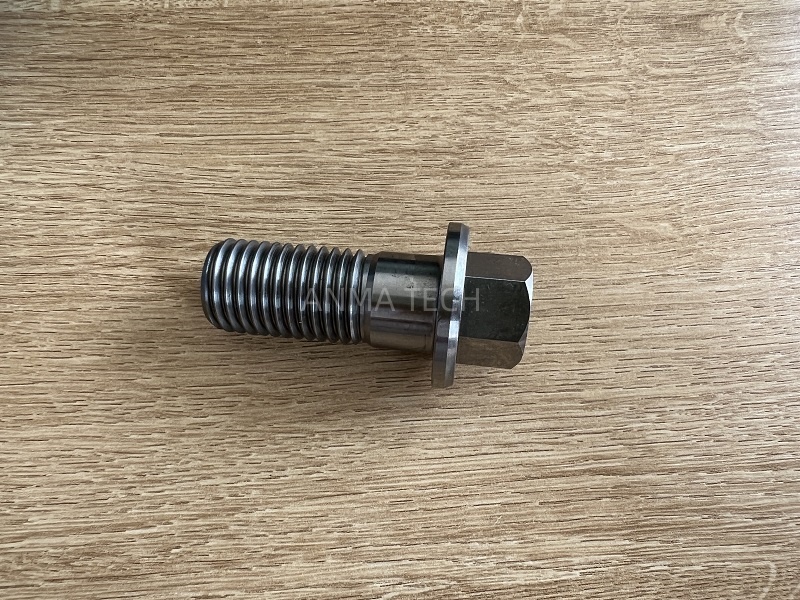 Screw 55003400
