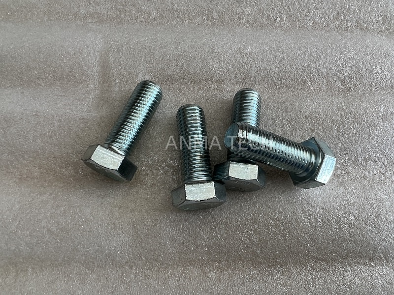 Hexagon Head Screw 80053869