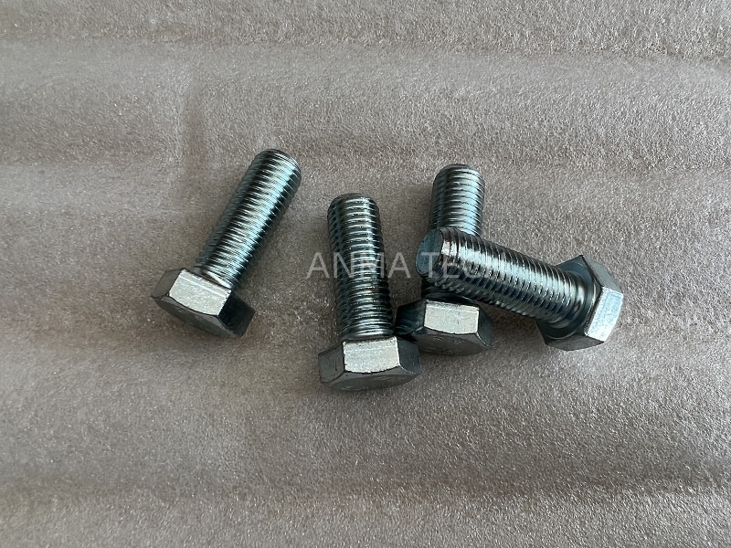 Hexagon Head Screw 80053869