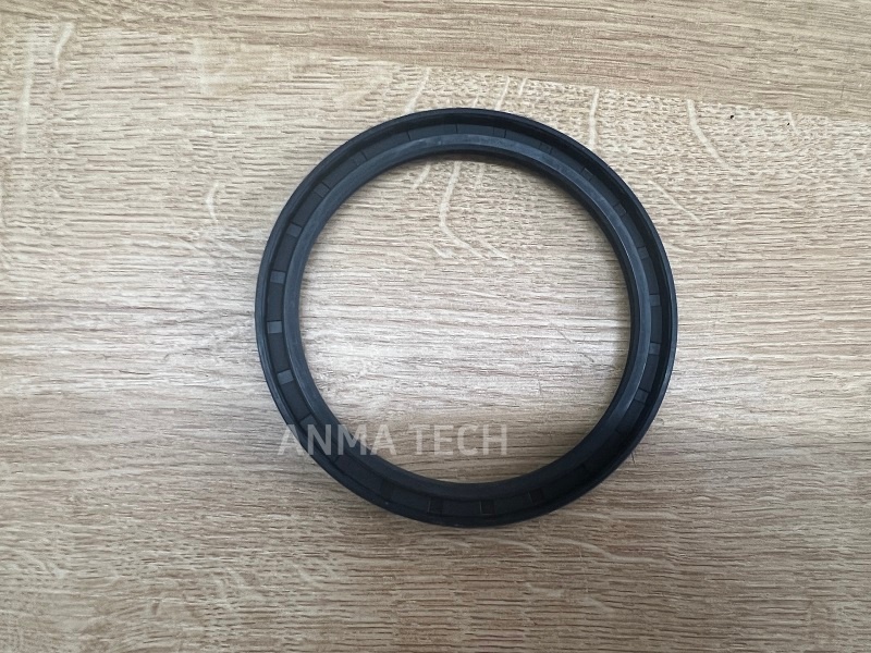 Seal Ring 0666719001