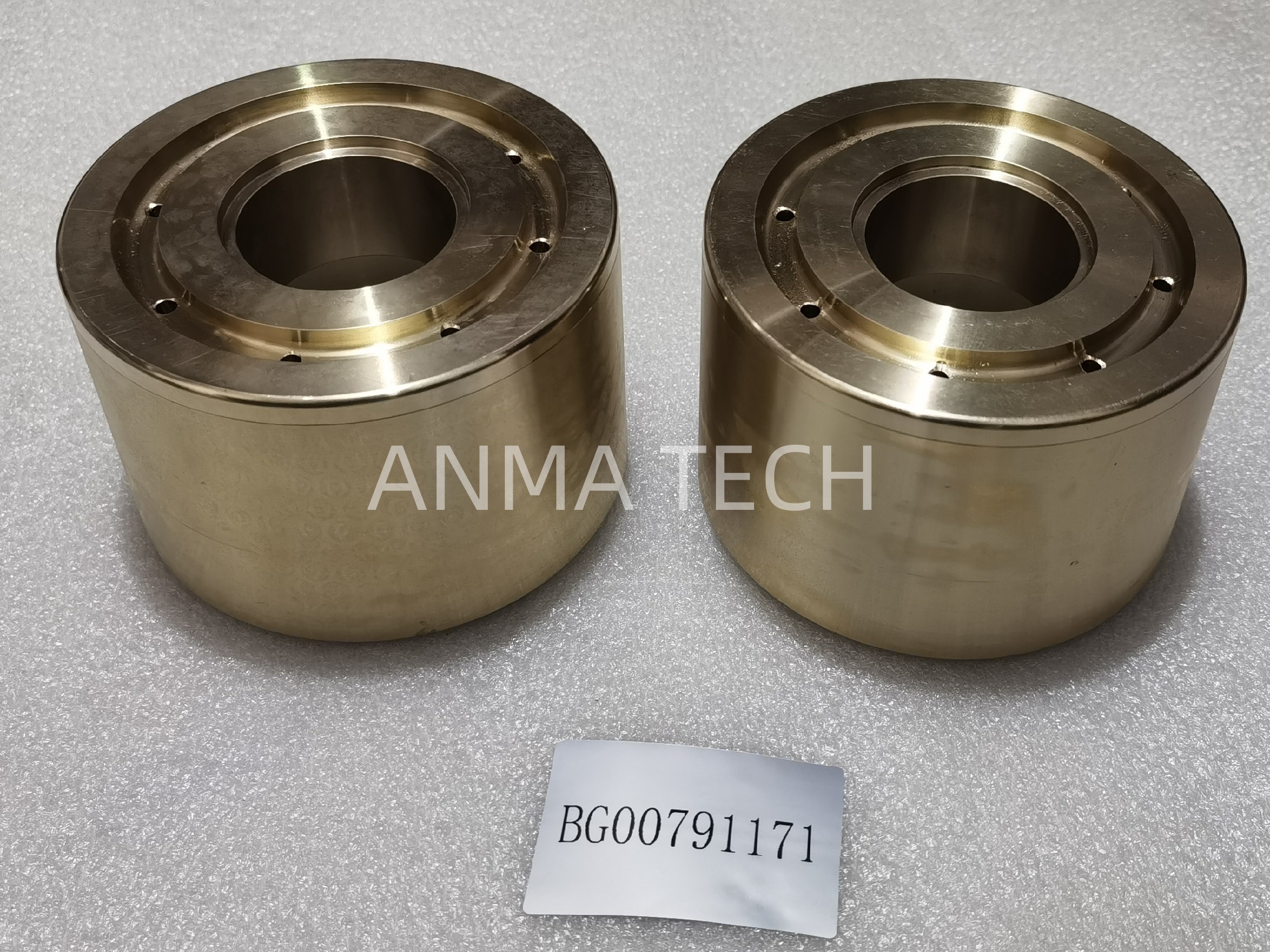 Bearing Bushing BG0079 1171