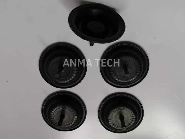 Diaphragm 3115182201