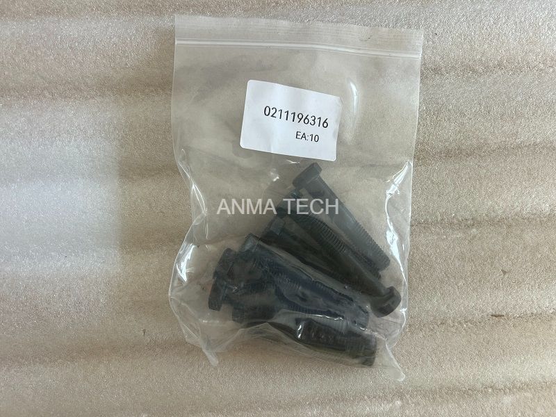 HEX Sock Screw 0211196316