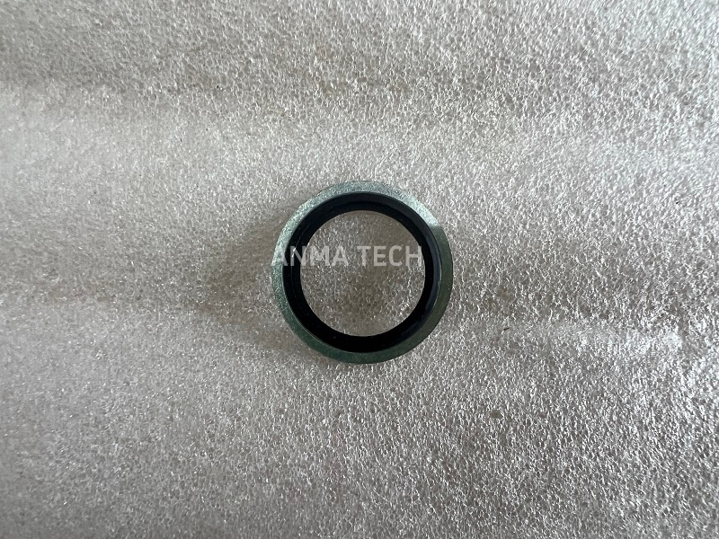 Bonded Seal 80034819