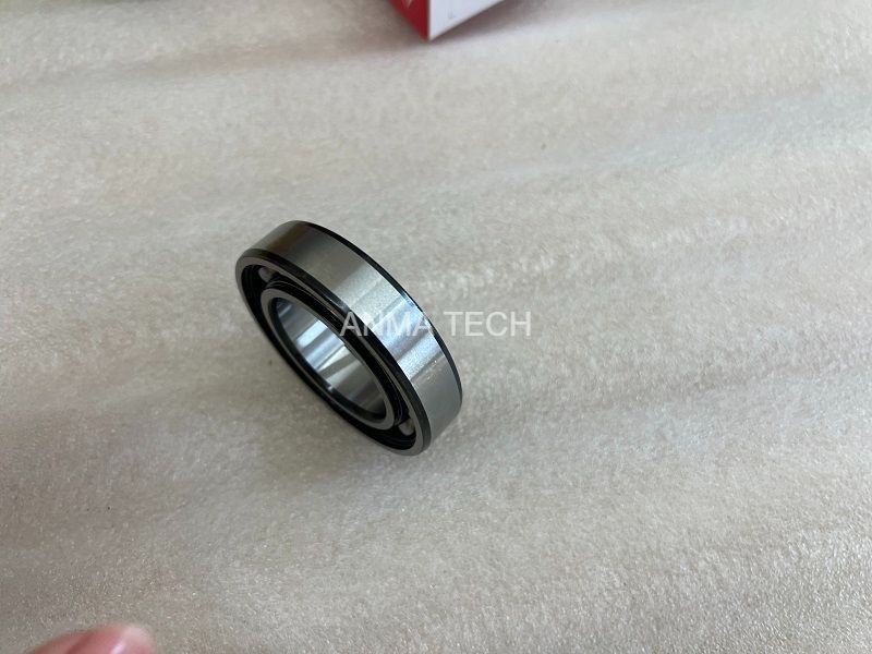 Bearing 121038307 for DANA