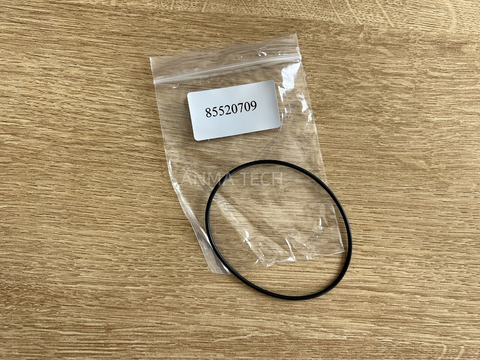 O-ring 85520709