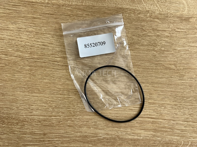 O-ring 85520709