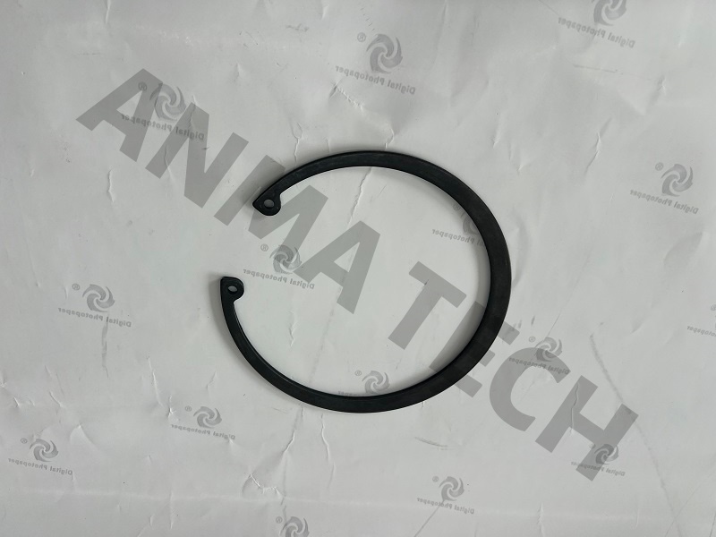 Circlip 0335217600