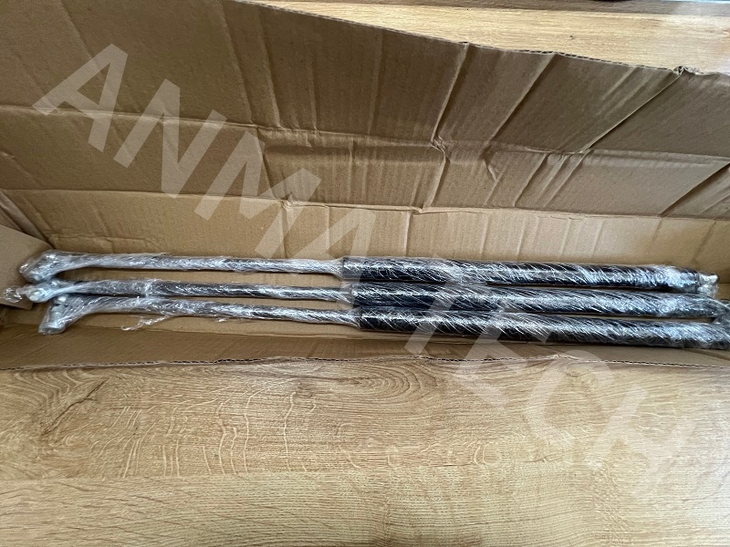Gas Spring 3222186401