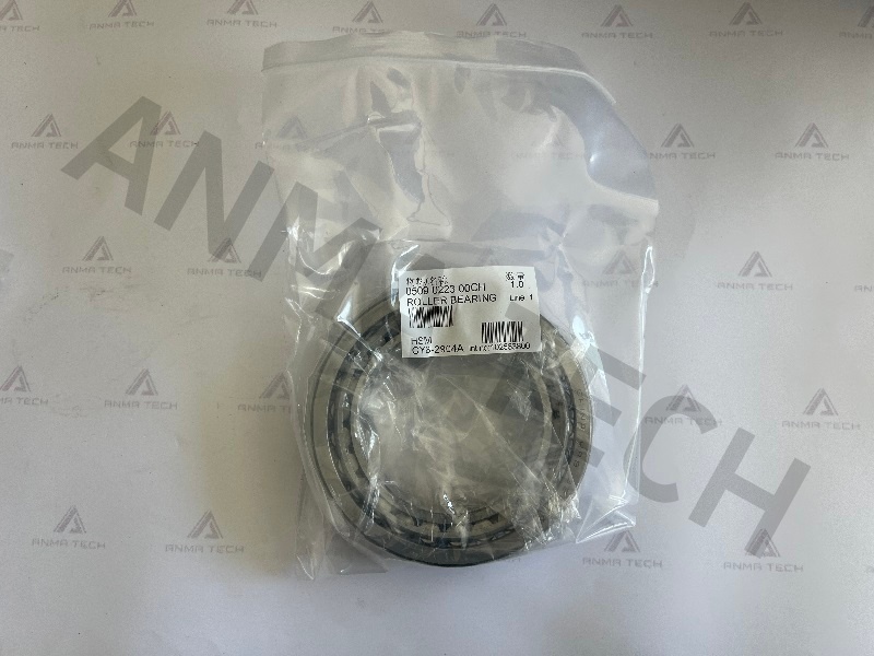 Roller Bearing 0509022300