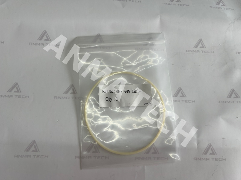 O-ring 86754918