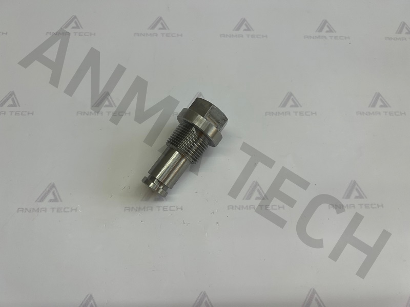 Flushing Adapter 3115325600