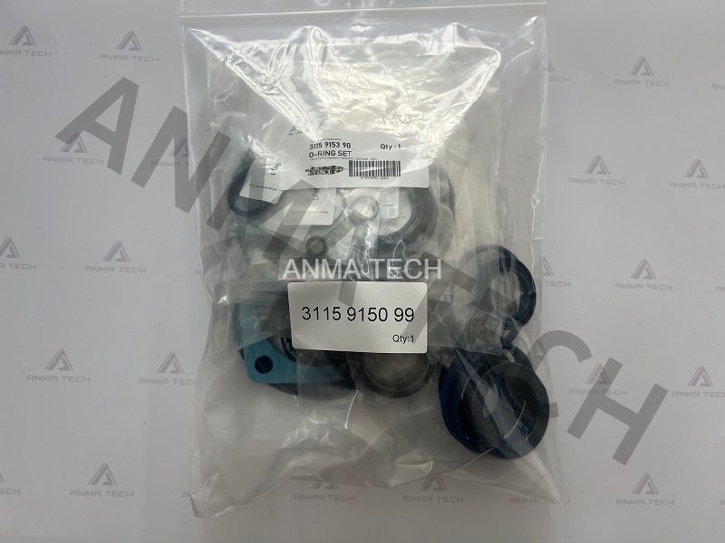 Seal Kit 3115915099
