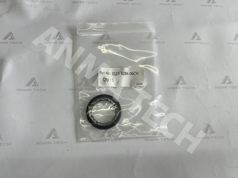 Seal Kit 31153286060