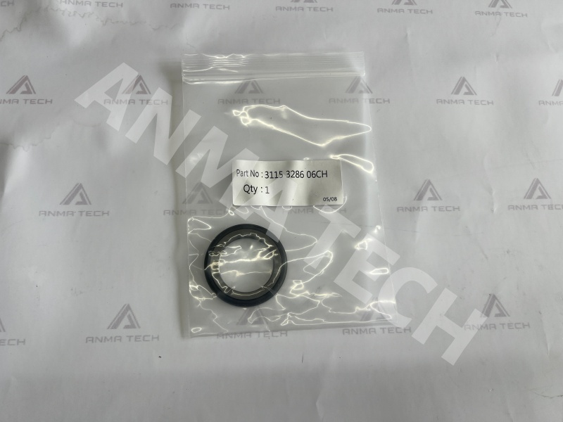 Seal Kit 31153286060