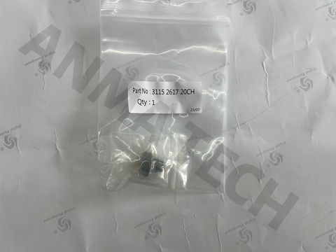 Plug 3115261720
