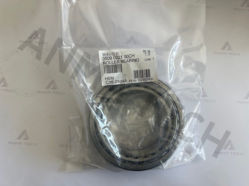Roller Bearing 0509022100