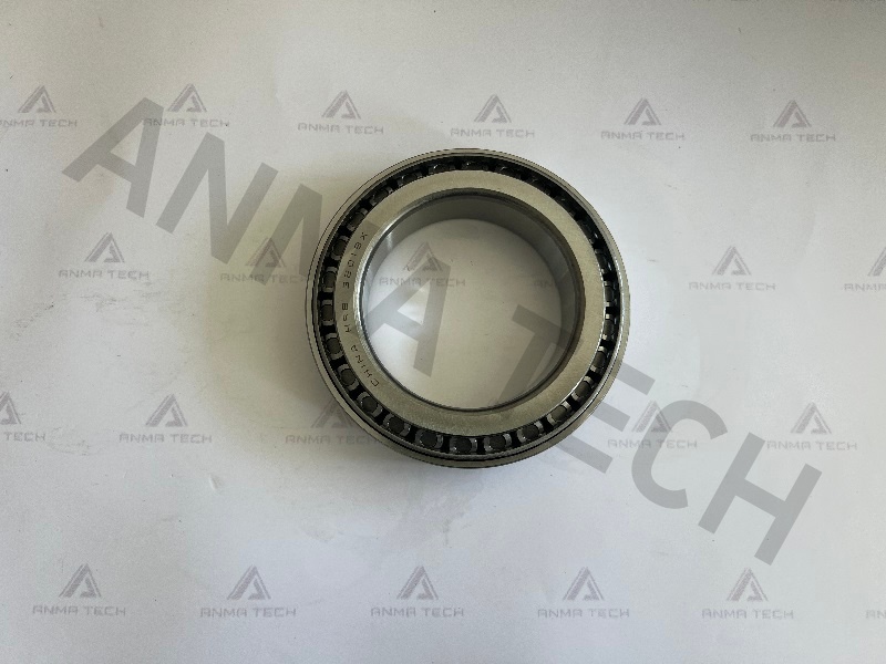 Roller Bearing 0509022300