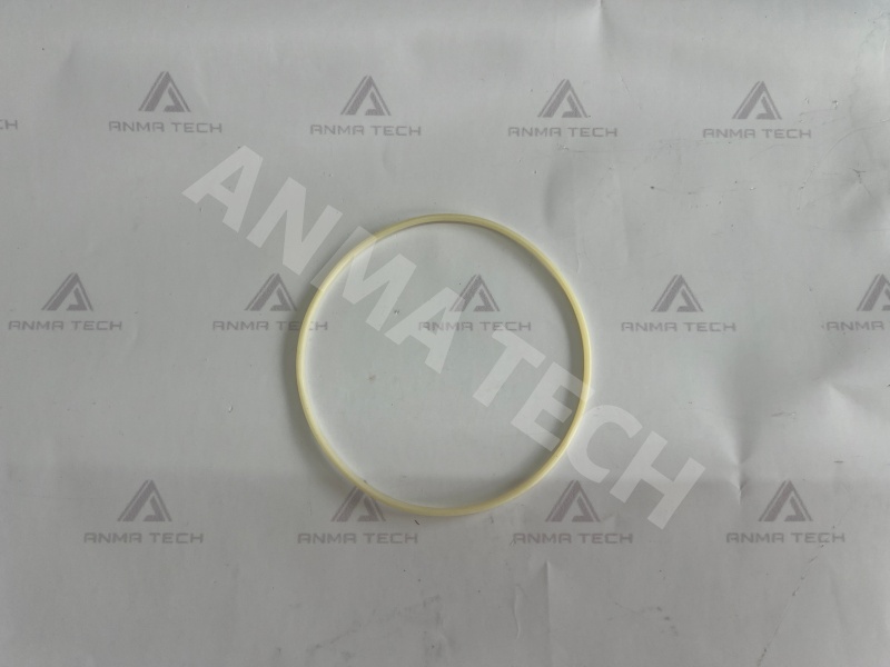 O-ring 86754918