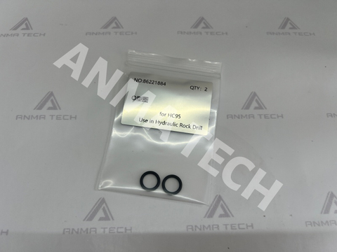 O-ring 86221884