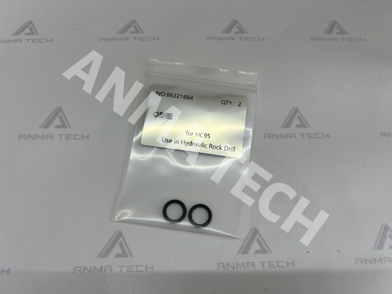 O-ring 86221884