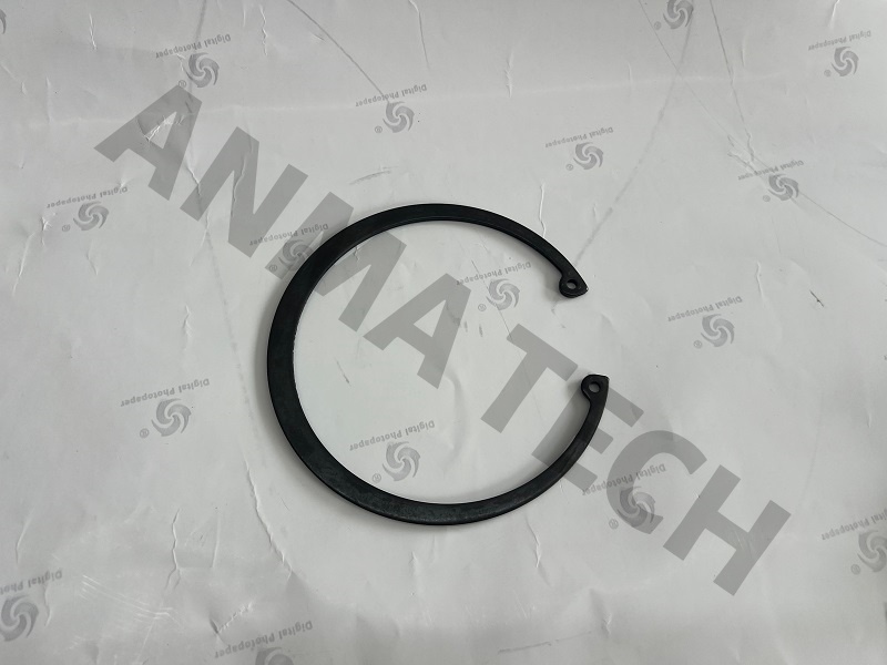 Circlip 0335217600