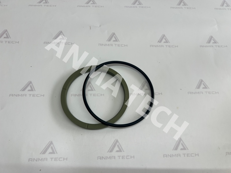 Seal Kit 3201195191