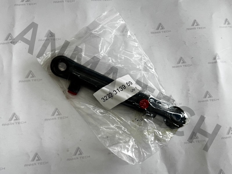 Hydraulic Cylinder 3222313959