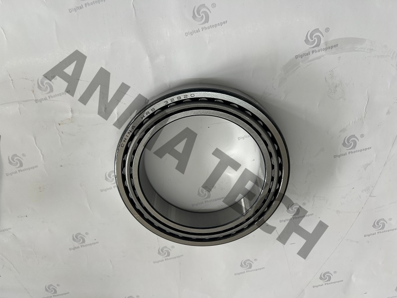 Roller Bearing 0509012129