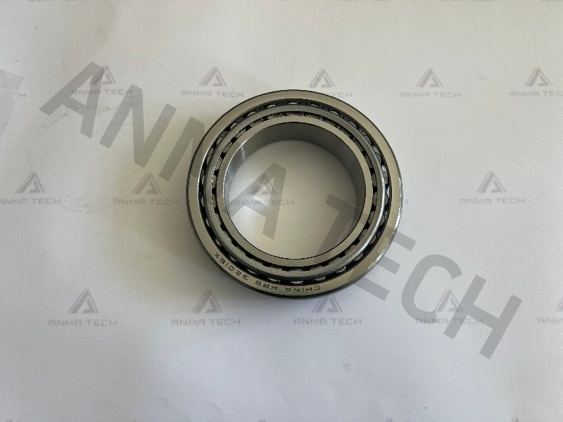 Roller Bearing 0509022100