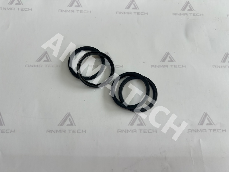 Lip Seal 100996418