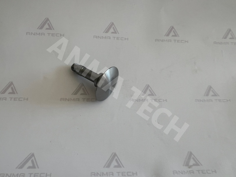 Diaphragm Support 3115290100